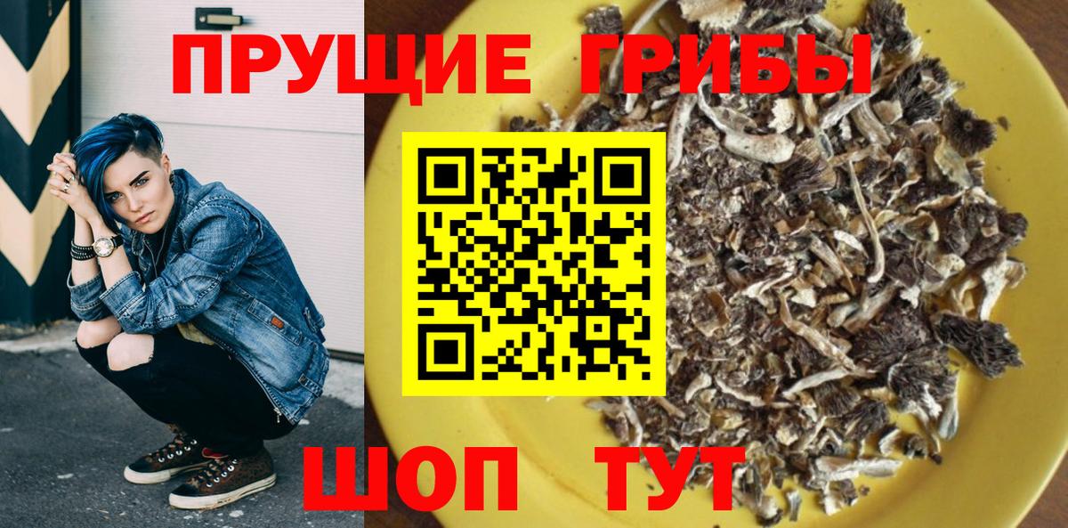 Галлюциногенные грибы MAGIC MUSHROOMS Ефремов