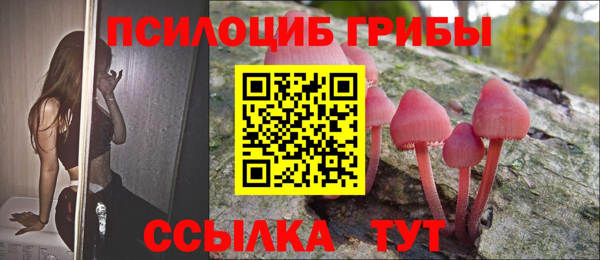 Галлюциногенные грибы Cubensis  Галлюциногенные грибы прущие грибы  Вход с VPN  Ефремов 
